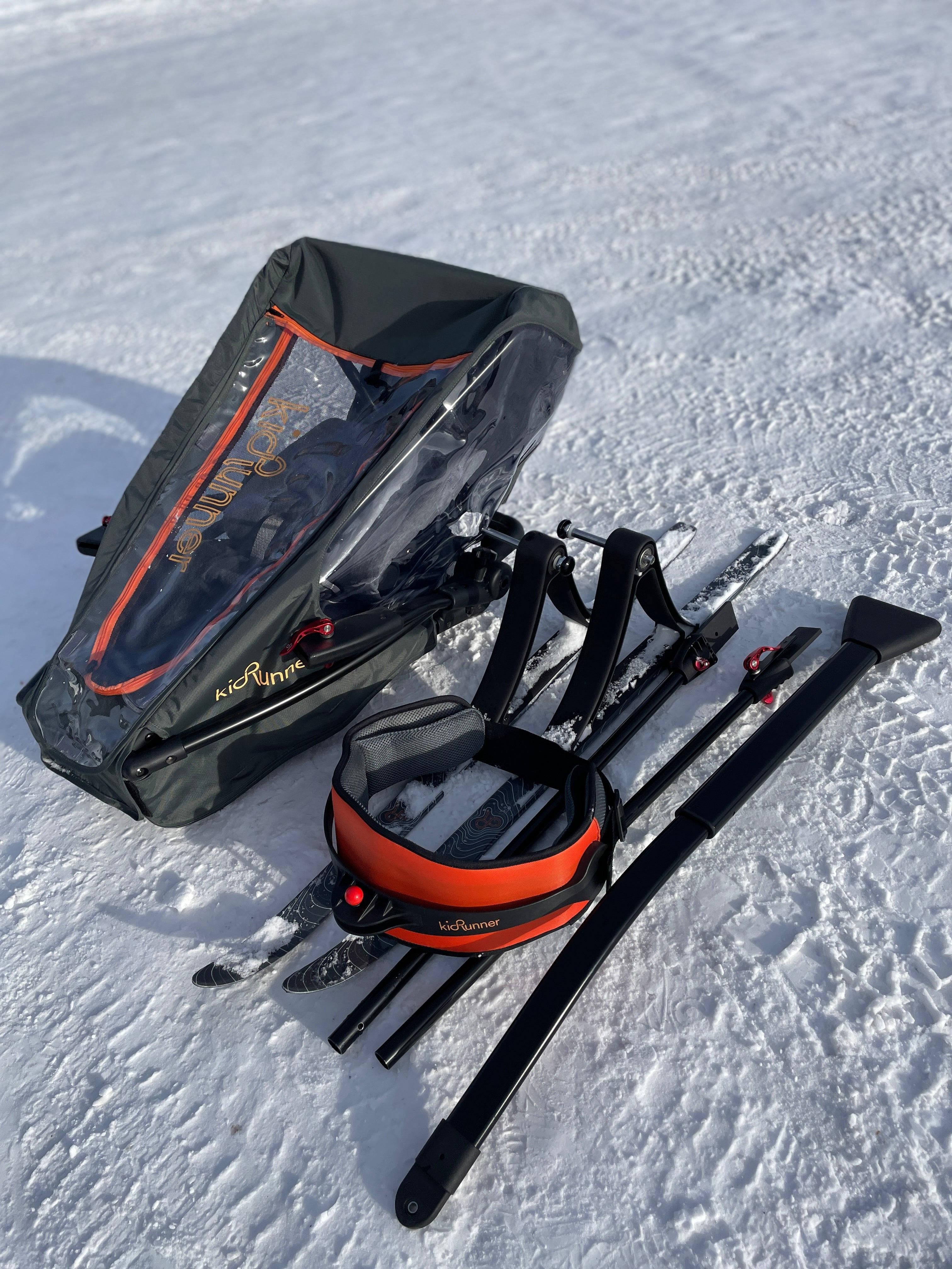 Thule chariot fashion cougar ski kit